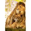 5D DIY Алмазная картина Животное Лев Алмазная вышивка Крест Стежок Главная Украшение