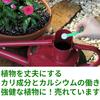 Удобрение Hyponex Japan 500г, Микропорошок Hyponex,