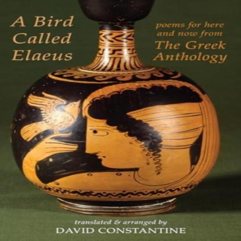 A Bird Called Elaeus by David J. Constantine Paperback Book 9781780377223