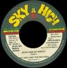 7inch Record SKY HIGH & THE MAU MAU, MUSIK G. - What Kind Of World NONE Sky High 1991 Jamaica Reggae, Ska & Dub Used