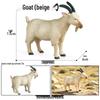 Realistic African Wildlife Lion Toy Set: Male, Female, and Mountain Lion for Children's Cognitive Learning