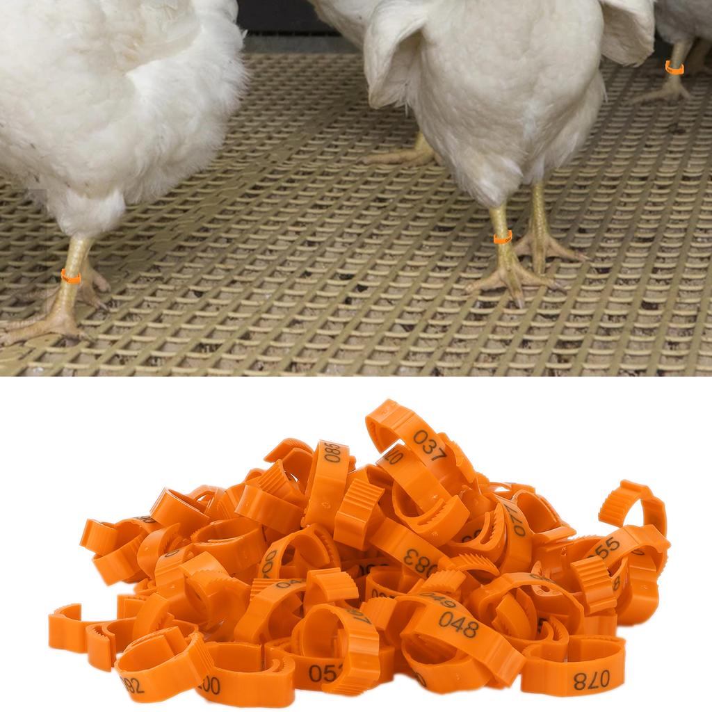 100Pcs Poultry Foot Rings Identification Leg Buckle with Numbers for Chicken Duck Bird