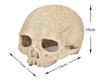 Heizi Reptile Shelter Cage, Skeleton Shape, for Leopard Geckos, Bearded Dragons, and Leopard Geckos (Skull)