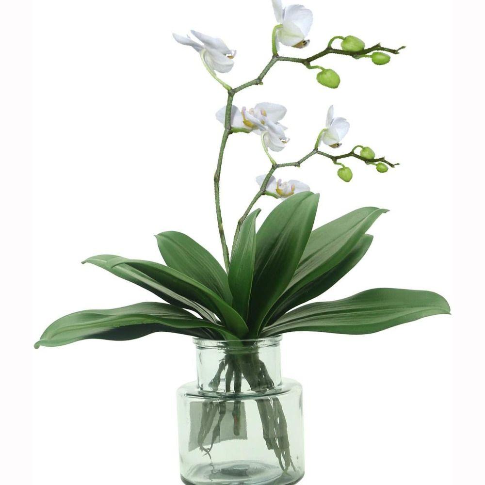 Plastic Real Touch Orchid Green Plastic Leaves Simulation Plant Simulation Leaf Home Decor