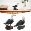 Resin Seagull Statue Sea Bird Figurine Mediterranean Style Decoration For Home Study Rooms Landscape Office Balconies Ornaments