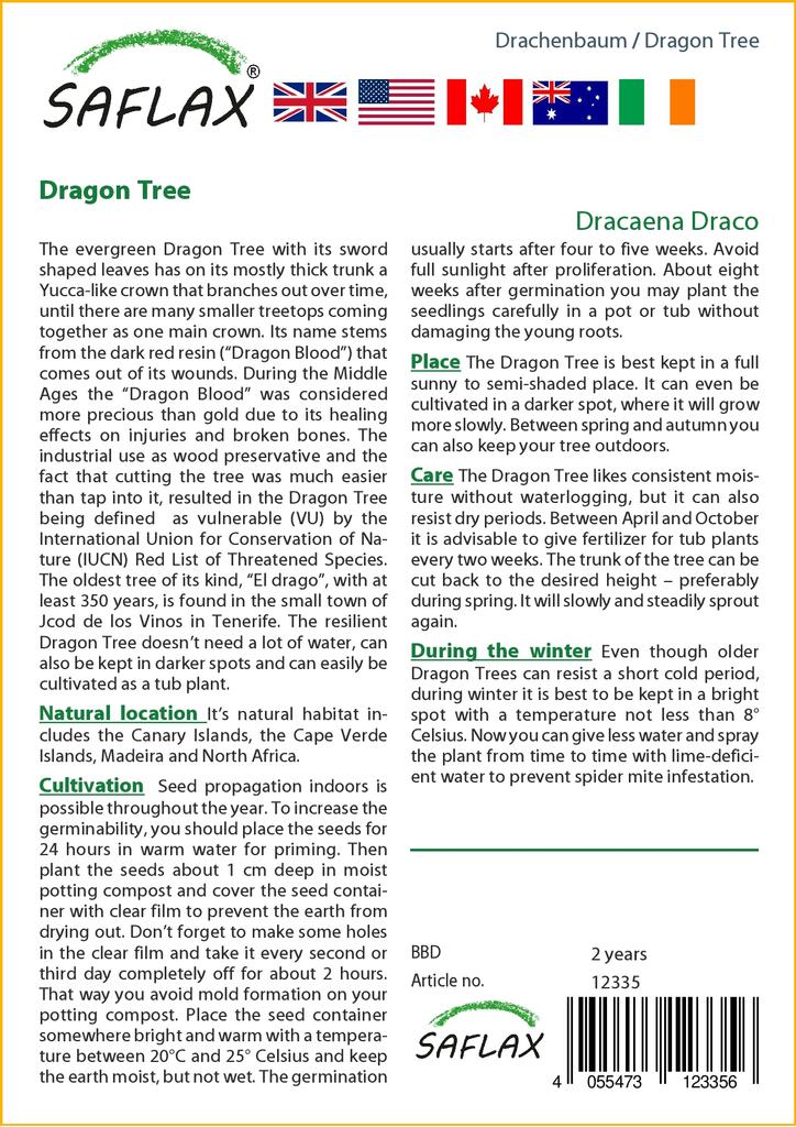 SAFLAX Драконово дерево - 5 семян - Dracaena Draco