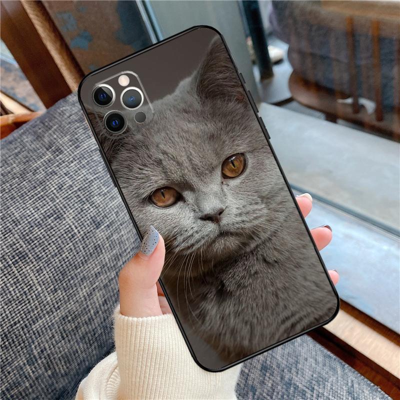 Чехол для телефона Британская короткошерстная кошка Для iPhone 16 15 14 13 11 12 Pro Max 12 13 mini XR 15 16 Plus 16e Защитный корпус