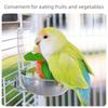 Stainless Steel Parrot Feeder Splash-Proof Vegetable Skewer Bird Food Holder  Bird Supplies