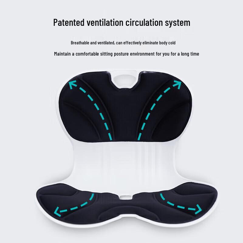 Jiancheng Shiatsu Lumbar Massage Cushion CN plug (adapter included)
