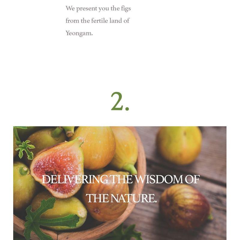 I'm from - Fig Scrub Mask Mini