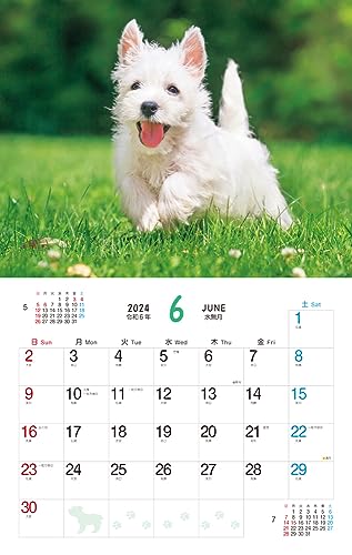 Пушистый щенок (Календарь Impress 2024)