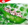 Diamond Painting Animals Home Decoration Diamond Embroidery Cat Cross Stitch Kits