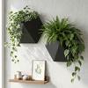 Wall-Mounted Hexagonal Flower Pot Geometric Growing Pots Wall Hanging Planter  Indoor Plants