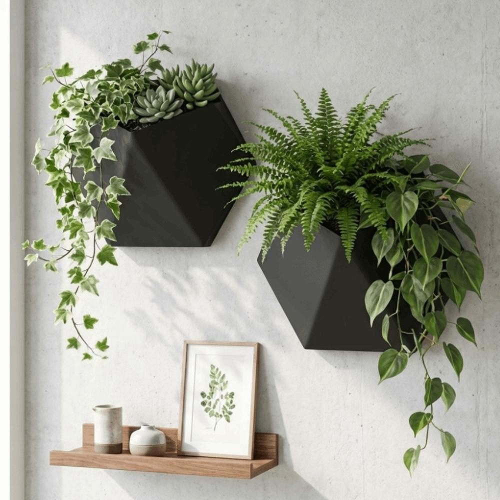 Wall-Mounted Hexagonal Flower Pot Geometric Growing Pots Wall Hanging Planter  Indoor Plants