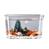 Fall Prevention Desktop Goldfish Bowl PET Tabletop Fish Tank Mobile Small Fish Tank  Office