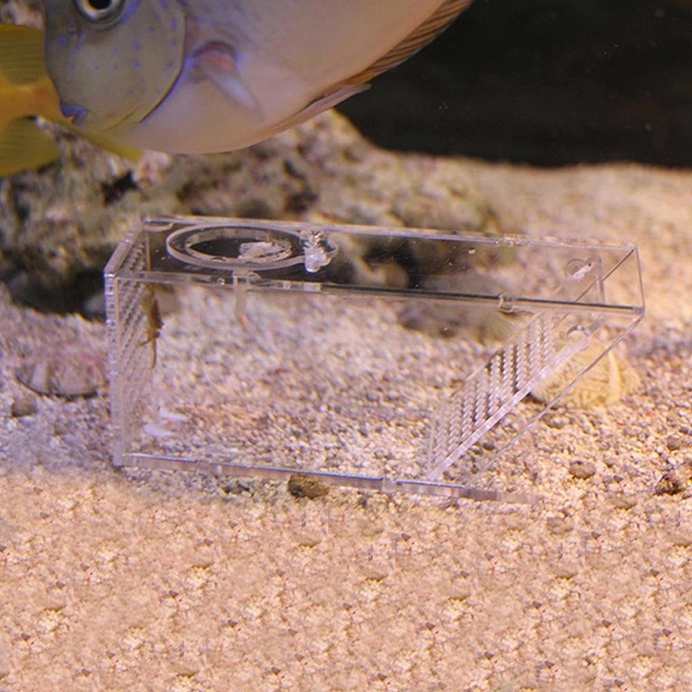 Acrylic Aquarium Fish Tank Freshwater Crab Pest Trap Catcher Box One Way Trap Box