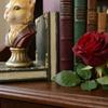 Bookends Cat Sculpture Figurine Stylish