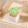 1Set 1:12 Dollhouse Miniature Succulent Plant Potted Cactu Landscape Home Decor