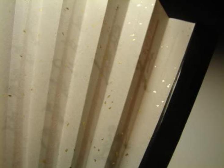 Omotesenke Tea Ceremony Set Men's Beginner's "Phoenix Design"