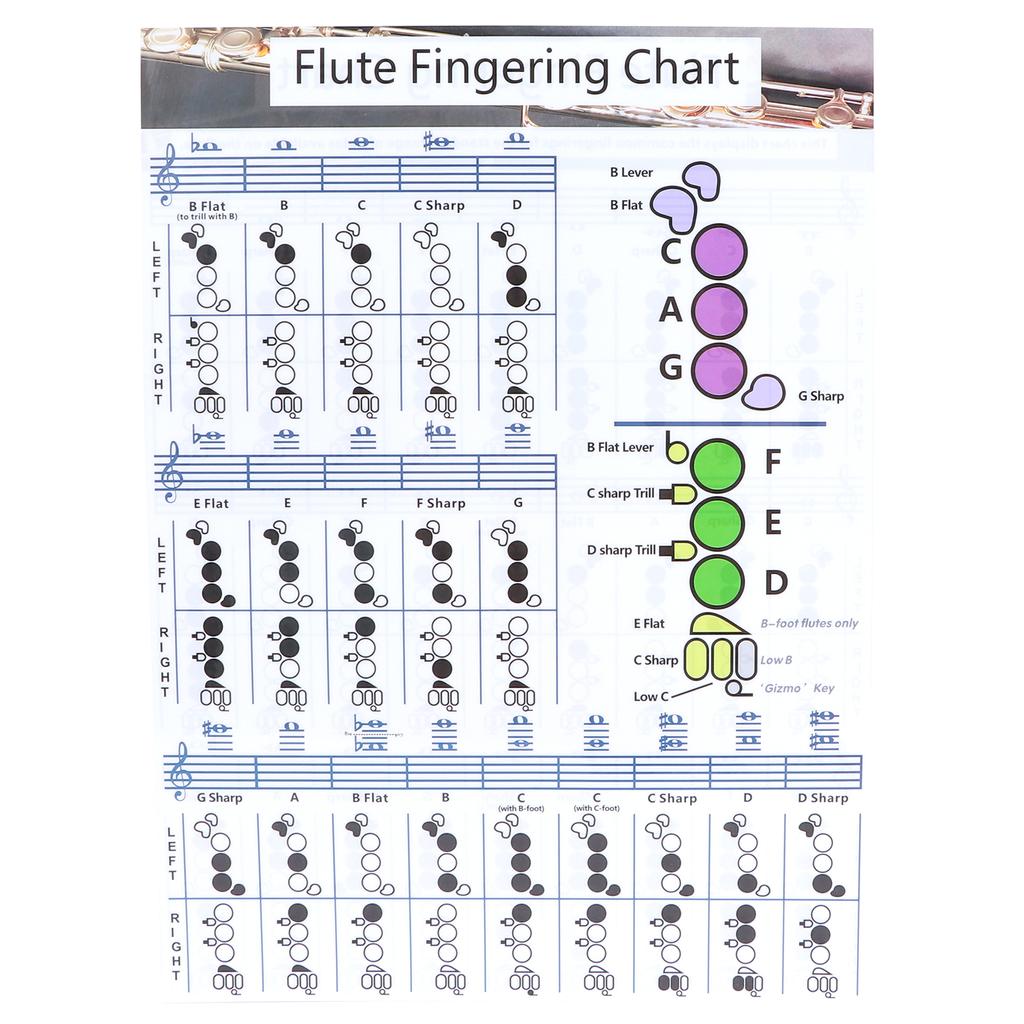 Flute Fingering Chord Chart Beginner Student Practice Teaching Aids Instrument