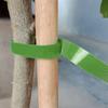 Plant Fixed Belt Adjustable Plant Support Reusable Fastener Tape For Home Garden Accessories