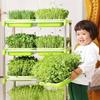 Home Garden Nursery Paper Hydroponic Tray Sprout Pot Plant Box Grow Nursery Pots Seed Sprouter Tray