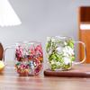Flower-Infused Glass Mug - Decorative Dried Flower Clear Coffee/Tea Cup (Multi-Color Options)