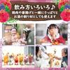 Mitsukan Commercial Fruitis Apple Cider Vinegar Pomegranate 1000ml (6x Concentrated Type) [Drinkable Vinegar Apple Vinegar Apple Vinegar Apple Cider