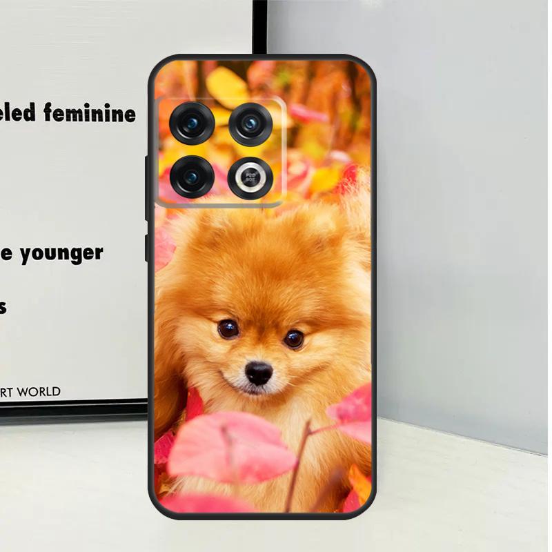 Pomeranian Dogs Dog Colorful For OnePlus Nord CE 5 2 3 4 Lite N20 N30 Case For OnePlus 15 13 12 11 10 Pro 10T 12R 13R 13T