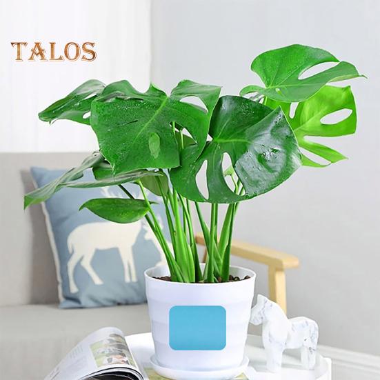 Прямые термоэтикетки Самоклеящаяся термопринтерная этикеточная лента Многоцелевые прочные на разрыв этикетки Наклейки для самостоятельной печати Логотип QR-код Имя Тег