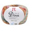 Hamanaka Dina Wool Thick Col.3 Multi-type 40g Approx. 128m 2449