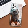 British Shorthair Cat Phone Case For Apple iPhone 11 12 13 15 14 Pro 7 XR X XS Max 8 Plus + Mini SE Customized Print Soft Cover