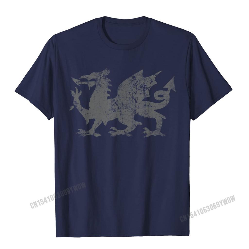 Welsh Flag Heraldry Dragon Welsh Soccer St Davids Day Wales TShirt Camisas Unisex 3D Printed Top TShirts For Adult Tops Tees