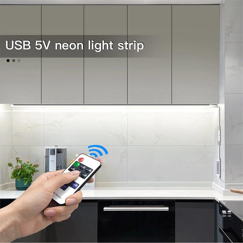 5V USB LED Neon Light Strip Touch Sensor Dimmable Flexible Neon Sign Tape 120LED With Wireless Remote Control Ribbon Room Decor