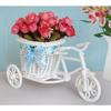 TiedRibbons® Cycle Shape Flower Vase with Peonies Bunches