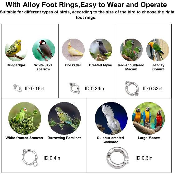 Retractable Bird Leash Parrot Flying Rope Anti-Bite Wire Rope Parrot Leash With 5pcs Alloy Foot Rings For Budgies Cockatiels Ect