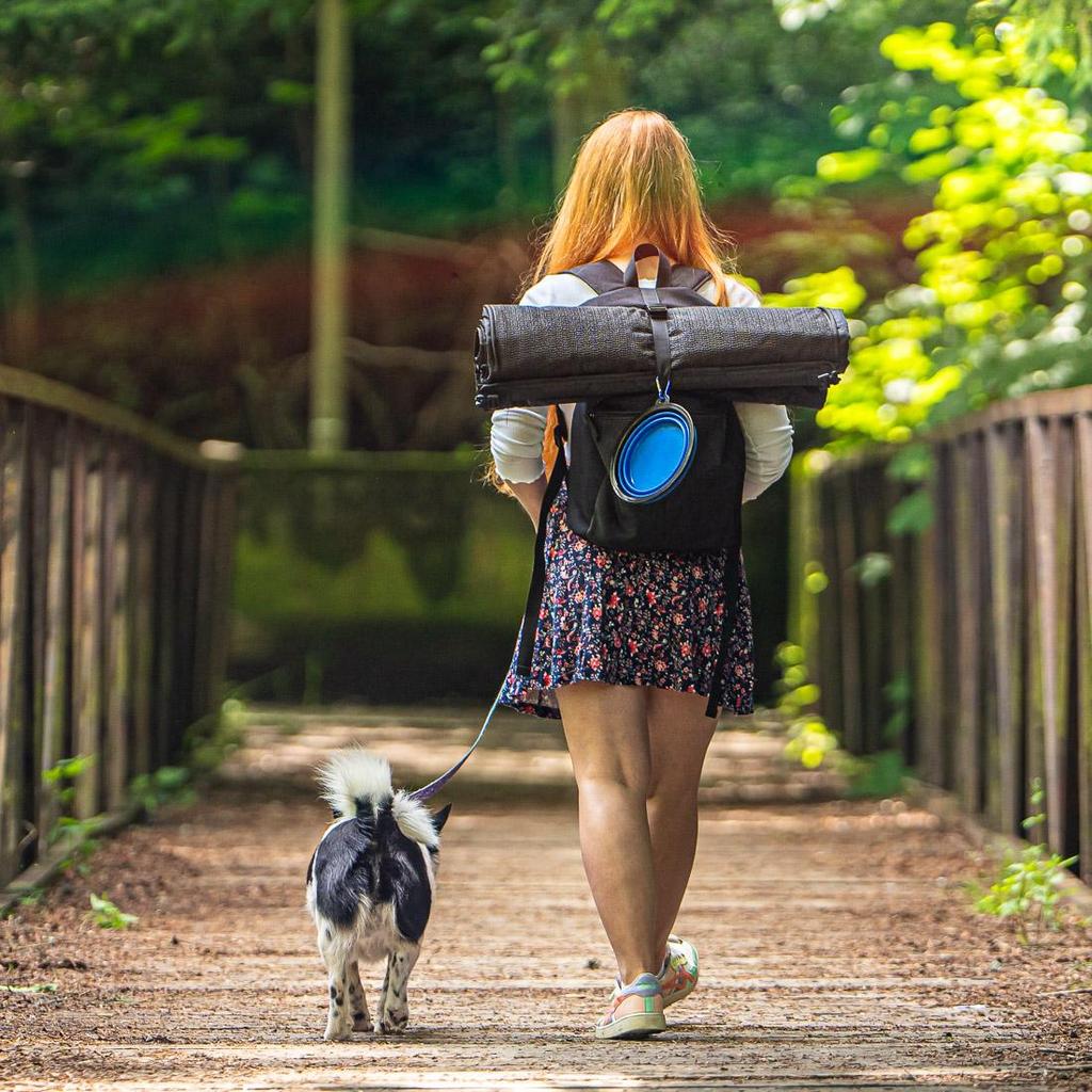 Folding Bowl for Dog 300ml Silicone Blue, for Walking and Travel