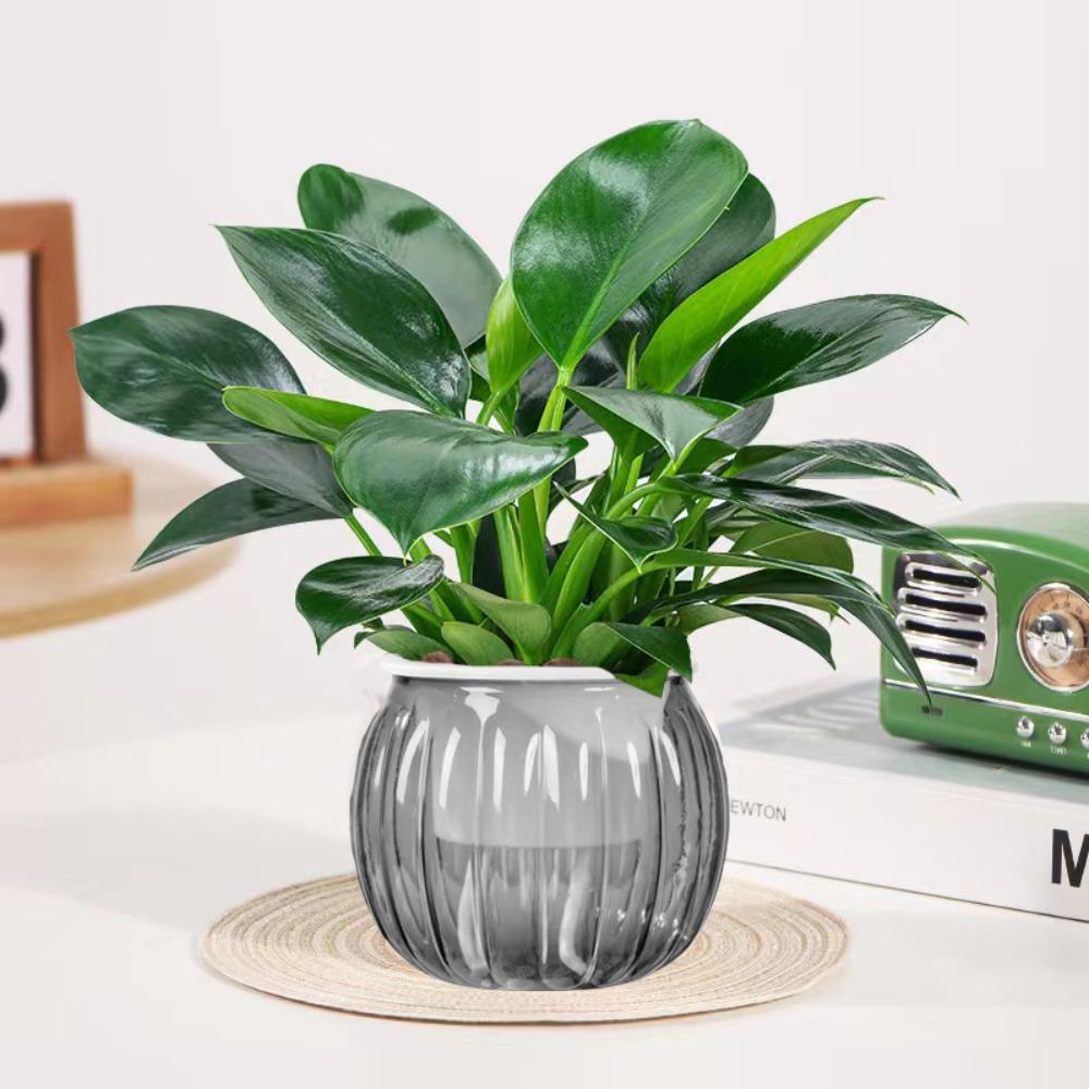 Пластиковый влагопоглощающий цветочный горшок, прозрачный, автоматический полив, садовый декор