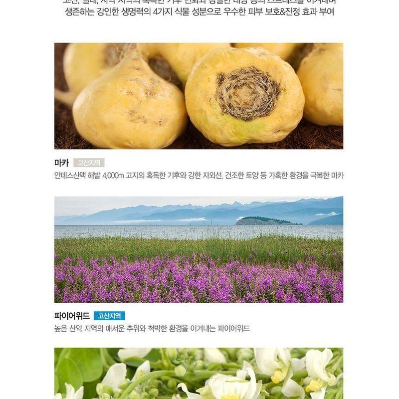 The Saem Водостойкий солнцезащитный крем Eco Earth