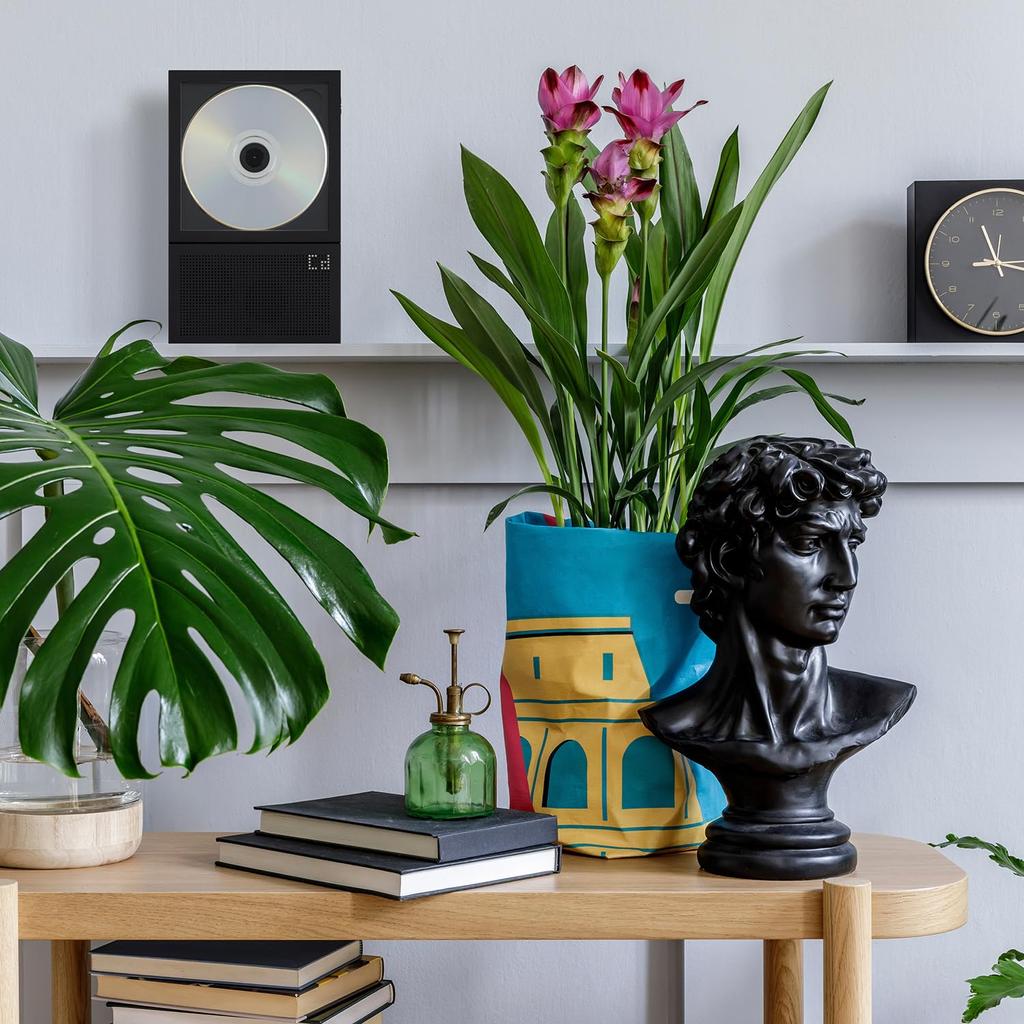 Km5 Bluetooth CD-плеер Instant Disk Audio CP2 (черный)