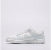 Кроссовки Dunk Low Next Nature
