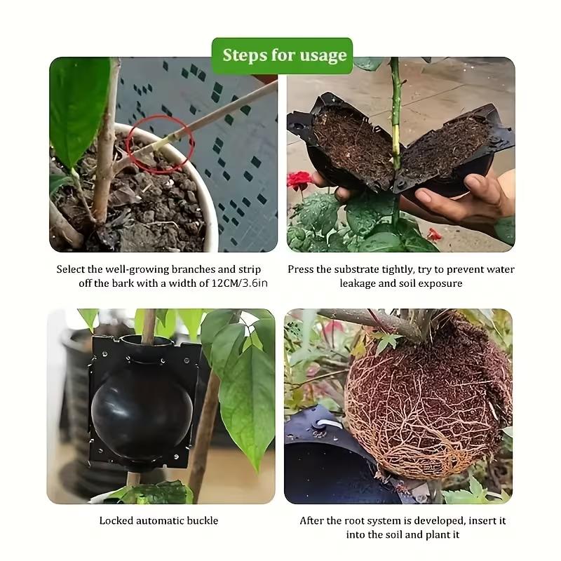 12Pcs Plant Rooting Ball Transplant Nursery Ball Sapling Propagation Grafting Breeding Case For Home Gardening Tools