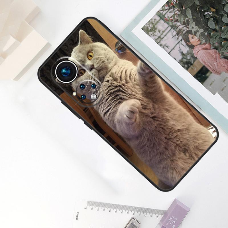 Кошка Британская короткошерстная Для Honor Magic 8 Pro 6 7 Lite Чехол Для Honor 200 400 50 70 90 X8c X8b X9a X9b X9c X9d Win RT