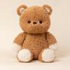 Bear Teddy Clothed Plush Toy Cartoon Stuffed Animal Doll Kids Birthday Gift