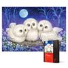 1000 Piece Jigsaw Puzzle - a Night Full of Curiosity, Popular Korean Puzzle
