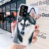 Чехол для телефона Samsung Galaxy A15 A14 A13 A12 A55 A54 A53 A52 A32 A35 A34 A33 A25 A24 A23 A22 A04S A03S A02S Gal с изображением свирепого волка