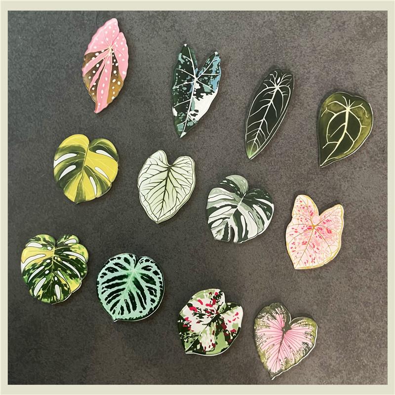 6pcs Cute Begonia Monstera Refrigerator Magnets, Kawaii Tropical Plants Refrigerator Magnets, Whiteboard Stickers