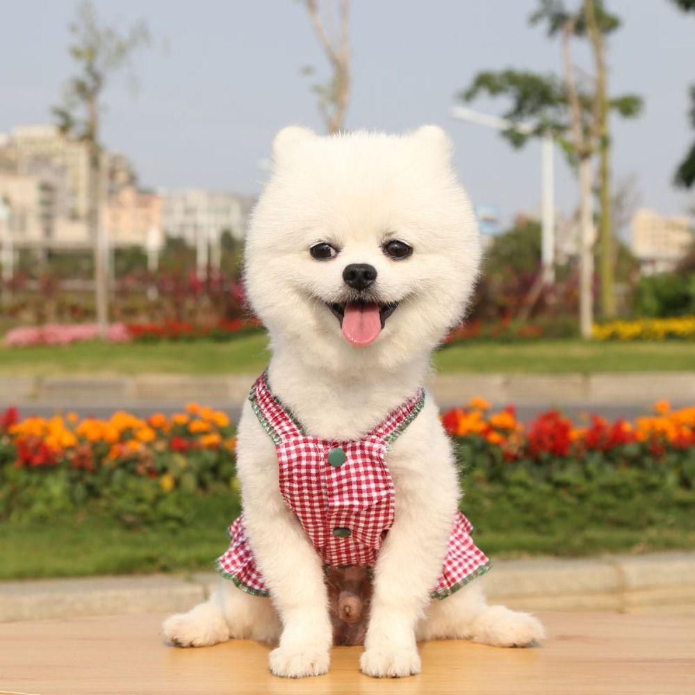 Хлопковое летнее платье для собак, мягкое платье для питомцев, юбка, платье для щенков йоркширского терьера, кошка