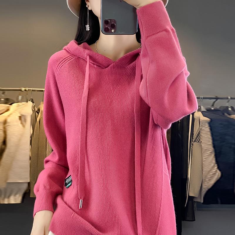 Autumn New Hooded Sweater Women's Pullover Hoodie Casual Fashion Sweater Jacket Bottoming Shirt