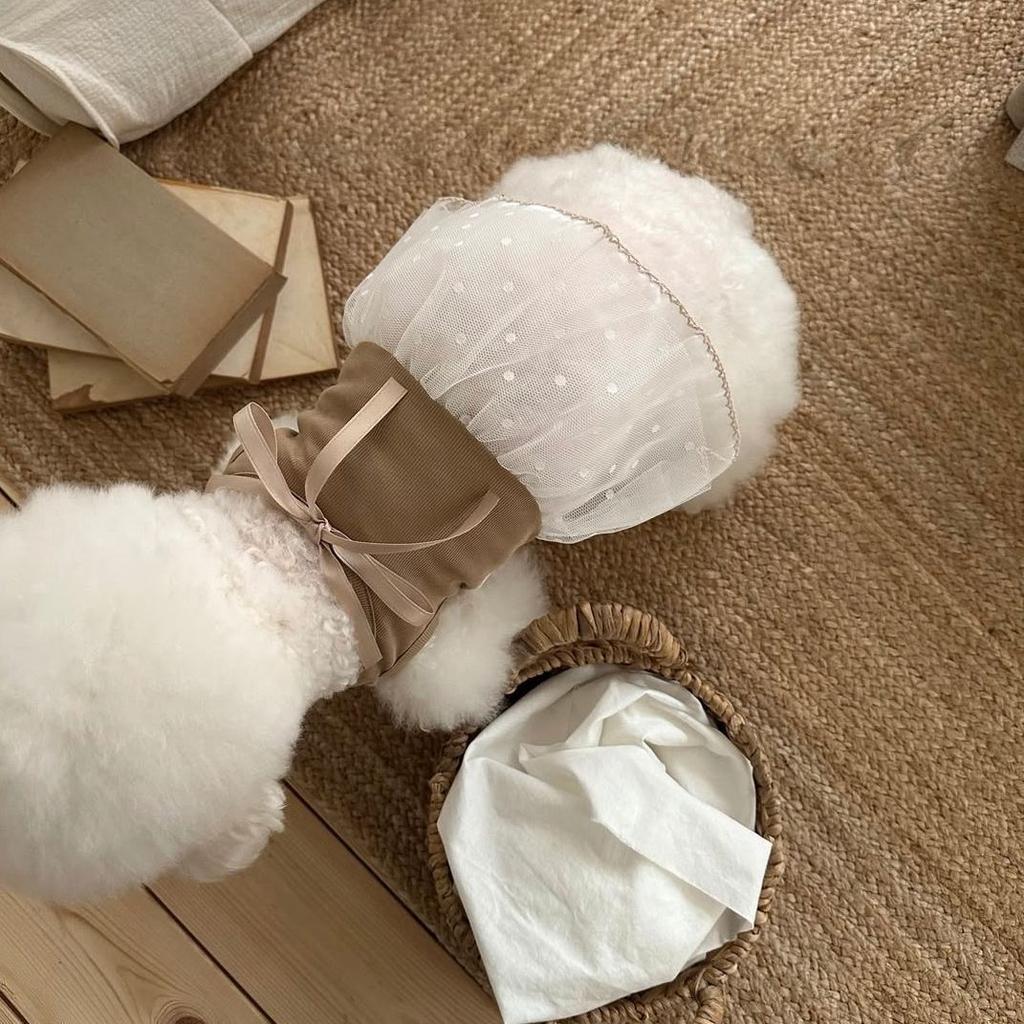 Spring and Summer Pet Lace Camisole Vest Dress Teddy Small Dog Bow Dress Dog Clothes for Small Dogs
